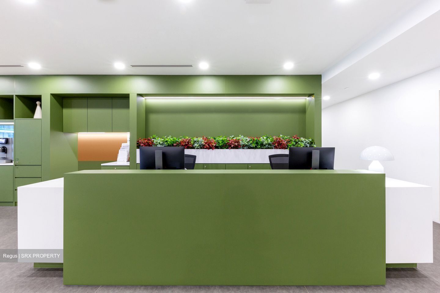 PLUS (D1), Office #543719141